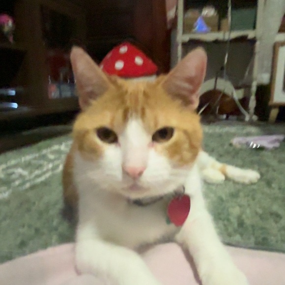 sleepysleepyy